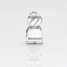 Charm Dentista en de ley para la pulsera de Pandora o similares. Frontal. Trasera
